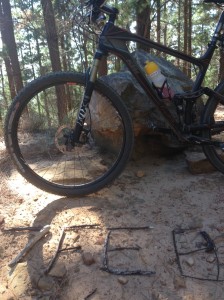 Celebrated my birthday on my bike in the forest (before the Cape Town 10's and cold beer option were explored in the afternoon. Wasn't a good day for my diet)